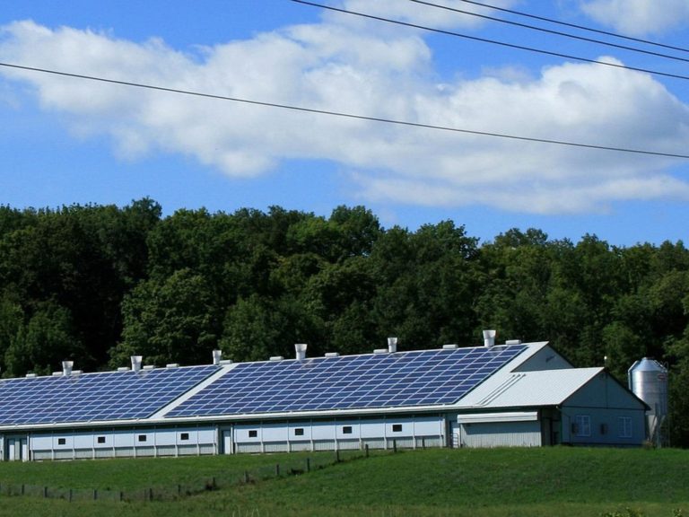 Installation photovoltaïque sur toiture de hangar agricole en France